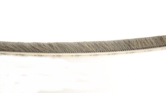 毛刷條(500尺)(灰) 14mm